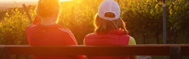 В Эстонии нет полной картины о числе равных консультантов и уровне качества их услуг