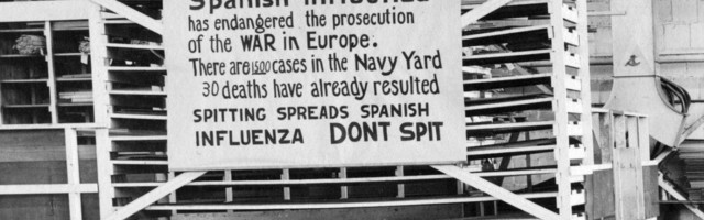 На реновацию Социального дома планируют потратить миллион евро