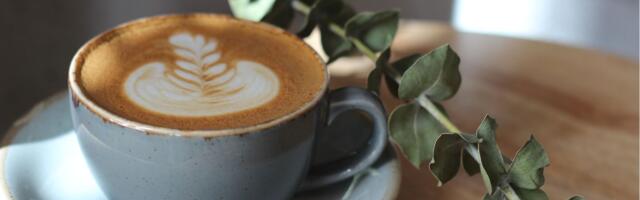Caffeine стала первой сетью кафе в странах Балтии, предлагающей только органический кофе