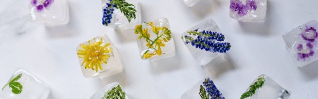 Цветочный лед: как необычно украсить коктейль