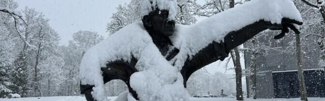 В Вяйке-Маарья за ночь выпало 24 см снега