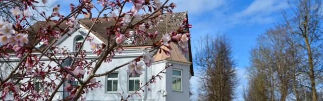 К выходным в Эстонии потеплеет до +20 градусов