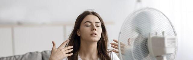 Как правильно выбрать вентилятор, чтобы освежиться в жаркую погоду?