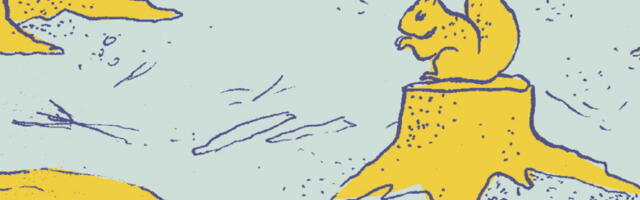 «Лес — для наследия, а не для хищения»: в Таллинне пройдёт демонстрация в защиту природы Эстонии