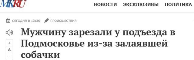 ИХ НРАВЫ: В Подмосковье человека зарезали из-за залаявшей собачонки на привязи