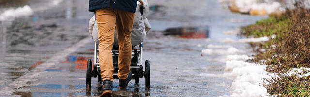 В понедельник днем синоптики обещают мокрый снег с дождем