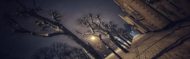 Здесь сосны и ели дрожат на ветру…