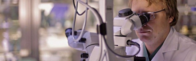 Cовет по науке и развитию одобрил цели и критерии развития общества через инновации