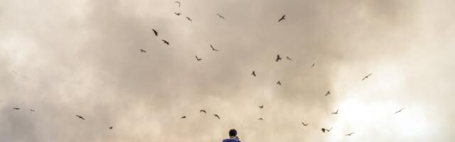 Жители Маарду жалуются на частую и нестерпимую вонь