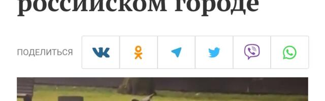 НРАВЫ ДЕРЖАВЫ: мемориалы гасят мужчины, женщины, дети и коровы