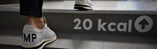 «Лестницы 2025»