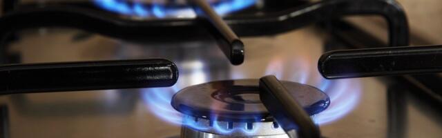 Правительство Эстонии: Приобретать долю в финском СПГ-терминале мы не будем