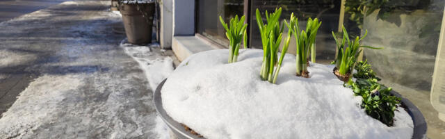 Март в Европе может стать одним из самых теплых за всю историю метеонаблюдений