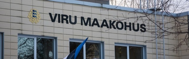 Выдумавшая свое изнасилование юная нарвитянка получила условный срок