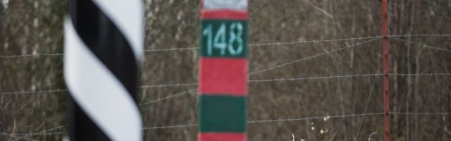 В Псковской области задержаны стремившиеся попасть в Эстонию южноамериканцы