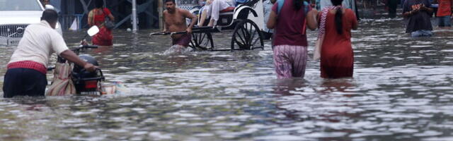 Десятки человек погибли в Непале и Индии в результате ливней