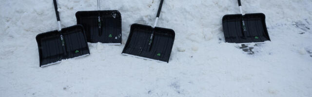 В Ласнамяэ 31 января намерены построить снежные скульптуры