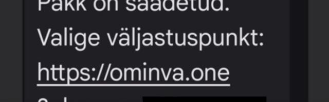 В Маарду задержан подозреваемый в посредничестве при рассылке мошеннических сообщений