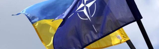 Помощь НАТО Украине превысила 50 млрд евро в 2024 году