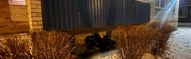 Не в отеле и не на съемной квартире: бездомная иностранка продолжает ночевать на улице