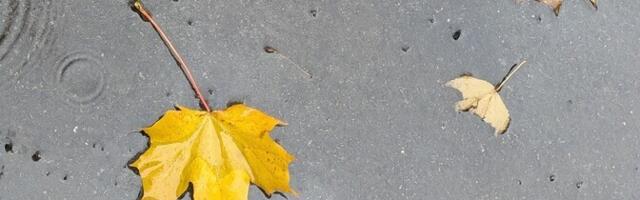 В воскресенье в отдельных районах пойдет небольшой дождь, +5..+10