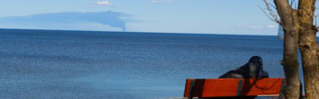 ФОТО и ВИДЕО | Дроны ВСУ пятую ночь подряд атакуют Ленинградскую область