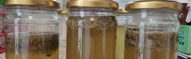 Исследование ТТУ: прибрежные воды Европы кишат едва заметными частицами пластика