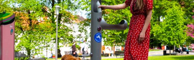 Идеи для народного бюджета принимаются до конца апреля