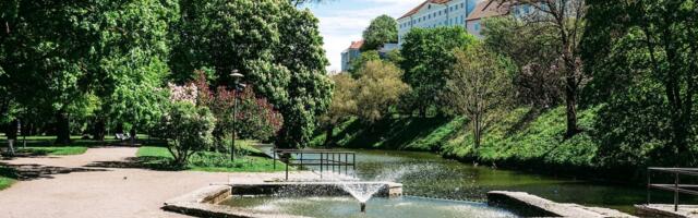 Под сенью струй: когда в Таллинне включат все городские фонтаны?