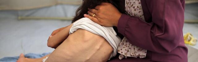 В Газе впервые официально подтверждён полномасштабный голод — ООН