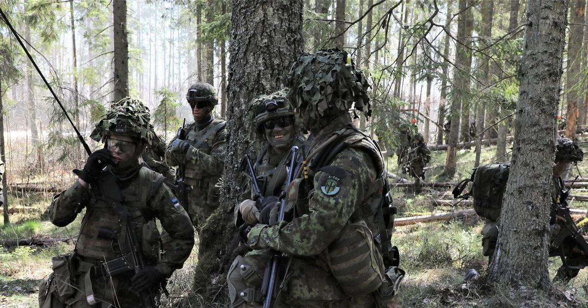 Нато латвия эстония. Учения НАТО В Эстонии. Военные учения НАТО В Эстонии. Учения НАТО 2020. Учения НАТО Латвия 2020.