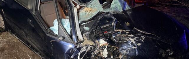 ФОТО | Лось спровоцировал тяжелое ДТП: столкнулись грузовик и легковушка, серьезно пострадал водитель