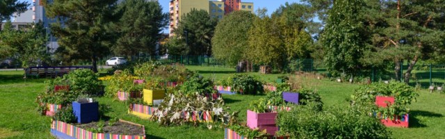 В парке Таммсааре открылась выставка столичных учебных огородов