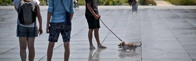 Июльская жара испытает на прочность энергорынок Западной Европы