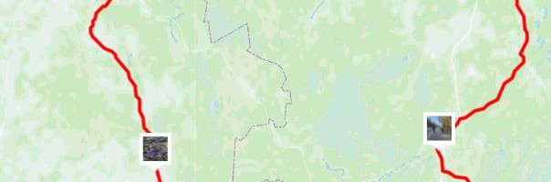 Велопробегом по Вирумаа: бревет прошел в штатном режиме