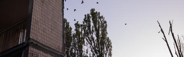 1257-й день войны: Зеленский анонсировал масштабный обмен военнопленными