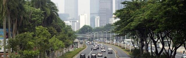 В Индонезии не менее 29 человек пострадали при землетрясении магнитудой 5,8