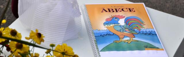 Рижским учебным заведениям выделят 4 мне евро на латышский язык