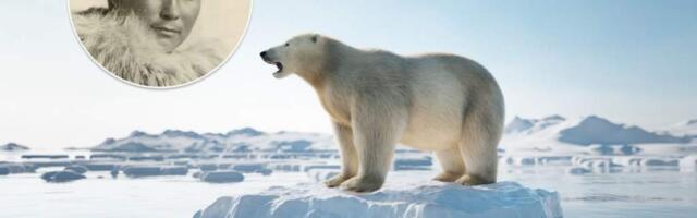 Ада Блэкджек, история выживания, Арктика