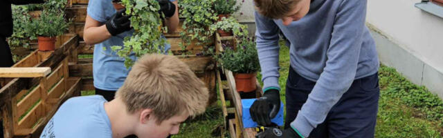 Тартуская молодёжная трудовая дружина ищет работодателей на лето