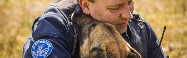 Полицейские собаки помогли найти почти полсотни человек