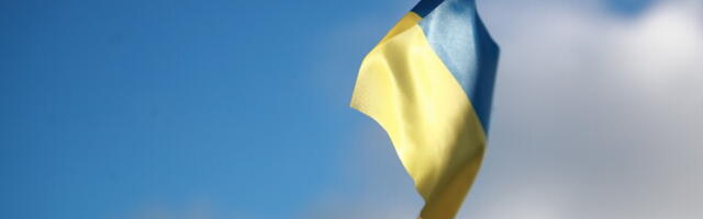 В благотворительных организациях Эстонии снизилась финансовая поддержка Украины