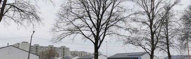 В Нарве завершено строительство комплекса нового дома попечения