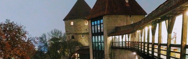 В башне Кик-ин-де-Кёк открылась выставка о животных в городе — настоящие козы, гуси и другие питомцы тоже пришли на выставку