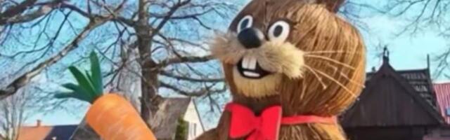 Праздник везде