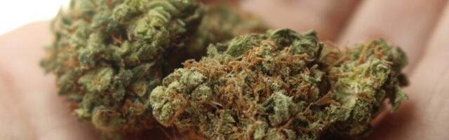 Мужчины, заработавшие почти 350 000 евро на продаже в Эстонии наркотиков, получили суровый приговор