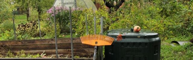 5 способов использовать компост из кухонных отходов в своём саду