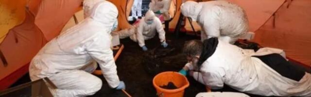 Жертва древнего ритуала. В ирландском болоте найдена обезглавленная женщина