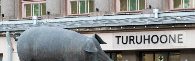 АЧС не снизила доступность отечественной свинины