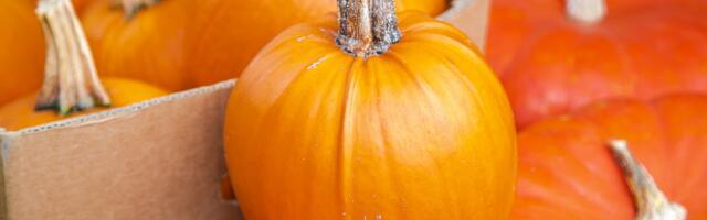 Управа района Ласнамяэ приглашает продавцов осенних товаров